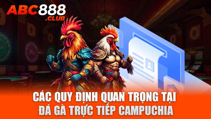 Các quy định quan trọng tại đá gà trực tiếp Campuchia