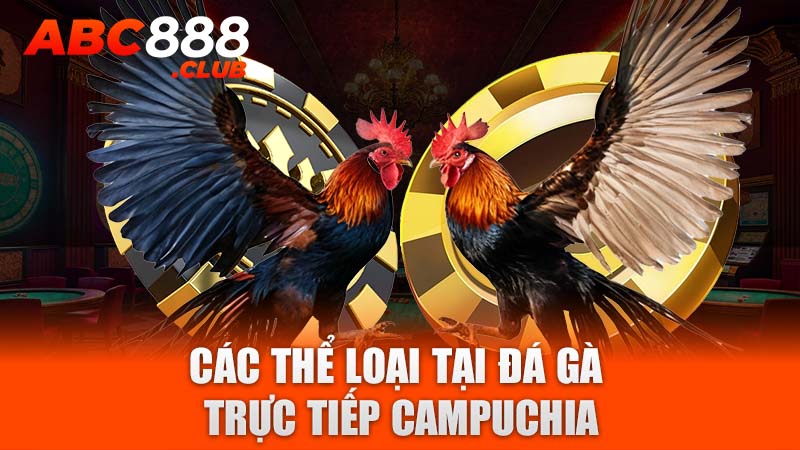 Các thể loại tại đá gà trực tiếp Campuchia