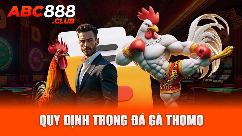 Quy định trong đá gà thomo