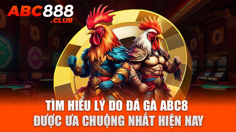 Tìm hiểu lý do đá gà ABC8 được ưa chuộng nhất hiện nay