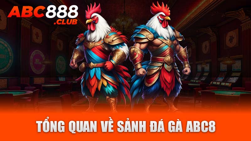 Tổng quan về sảnh đá gà ABC8