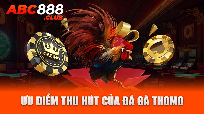 Ưu điểm thu hút của đá gà thomo